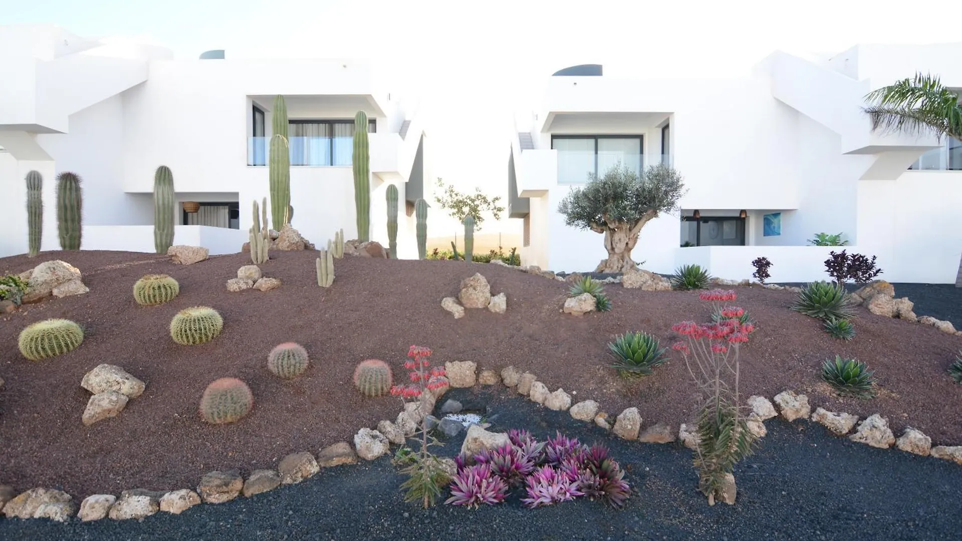 לאחארס Luxury Apartment In Casilla De Costa - Casa Meva